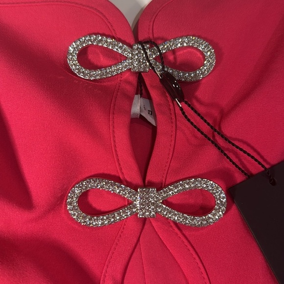 NWT. Hot Pink Gianni Bini Dress with Rhinestone Bows. Size: 4. - Picture 3 of 6